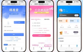 个人企业涉诉案底婚姻查询系统视频搭建教程